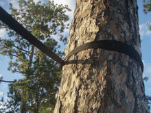 Load image into Gallery viewer, Eco friendly Tree Straps